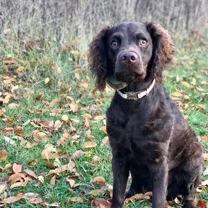 Meet your Posher, Tonja